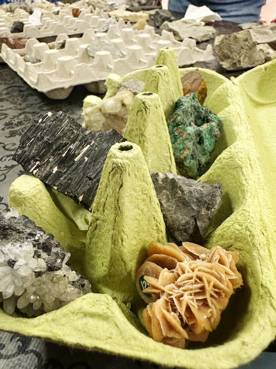 Auktion-geologiklubben-2025-5