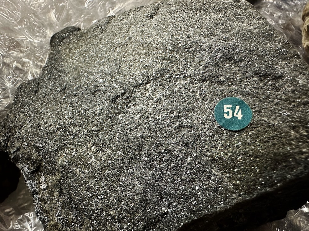 Auktion-geologiklubben-2025-8